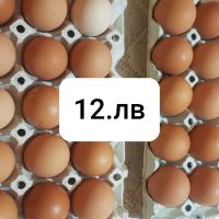 Продавам домашни яйца, снимка 2 - Кокошки и пуйки - 45842550