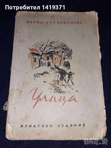 Стара книга - Улица - Мария Грубешлиева, снимка 1