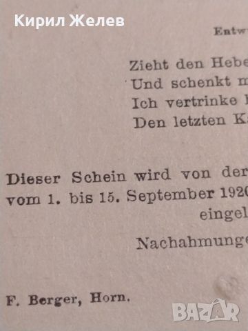 Банкнота НОТГЕЛД 10 хелер 1920г. Австрия перфектно състояние за КОЛЕКЦИОНЕРИ 45150, снимка 10 - Нумизматика и бонистика - 45503810