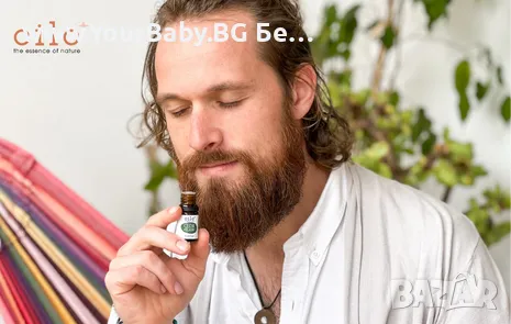 Oilo БИО Етерично Масло от Кедрово дърво (Cedarwood) - Atlas cedar Oilo 5 мл., снимка 8 - Други - 49721332