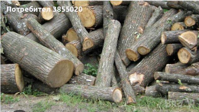 Дърва за огрев