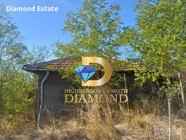 Къща с 3 парцела в село Великово, общ. Гълъбово, снимка 3 - Къщи - 51891104