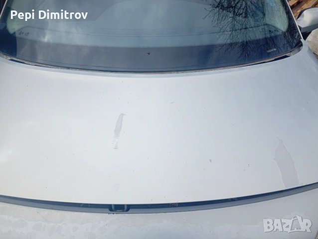 Преден капак Renault Scenic II (2003-2009г.), снимка 4 - Части - 54085683