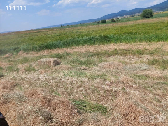 Продавам бали слама , снимка 2 - За селскостопански - 51257470