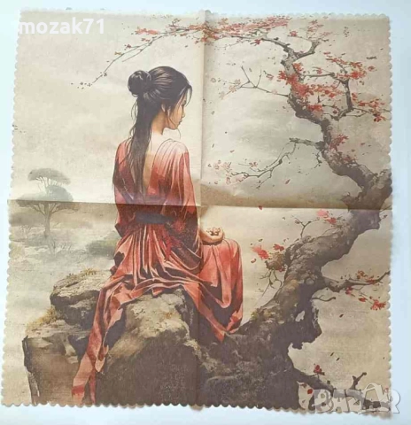 Лот 10 броя салфетки-паяжини за колекция, снимка 9 - Колекции - 51706632