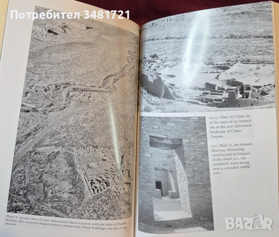 Колапс - как цивилизациите избират да загинат или успеят / Collapse, снимка 7 - Художествена литература - 54243911