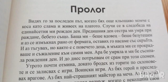 Риганте. Книга 1: Меч в бурята - Дейвид Гемел, снимка 2 - Художествена литература - 51017590