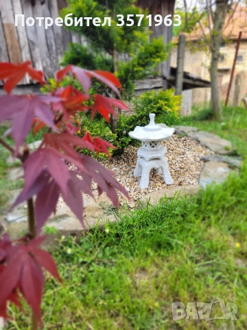 Пагода/японски фенер