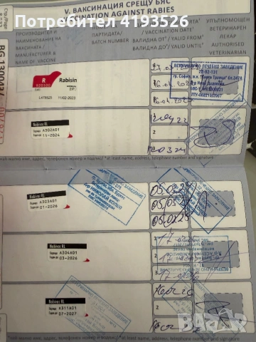 Продавам Уелско корги Пембрук трицветно с родословие, снимка 5 - Други - 54239157