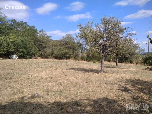 Парцел с.Мирково, снимка 3 - Парцели - 52421513