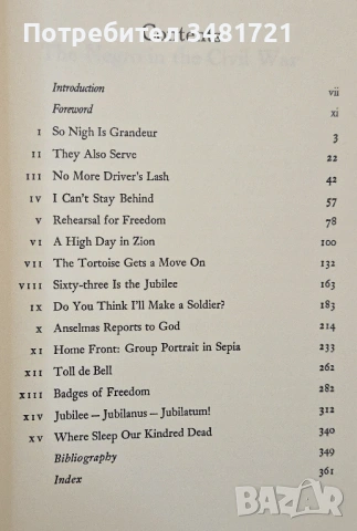 Негрите в гражданската война в САЩ / The Negro In The Civil War, снимка 2 - Художествена литература - 54245048
