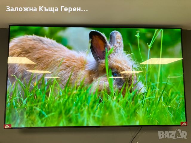  OLED TV LG 65B19LA, снимка 3 - Телевизори - 45235842