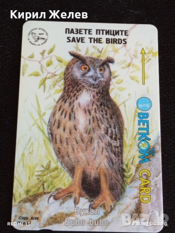 Три фонокарти БЕТКОМ тема БУХАЛ,СОКОЛ,СИНИГЕР 14907, снимка 4 - Колекции - 51677590