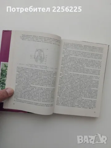 Билки и билкосъбиране, снимка 2 - Специализирана литература - 49398917