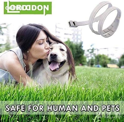 Нов безопасен отразяващ нашийник против бълхи кърлежи за куче защита, снимка 5 - За кучета - 45659012