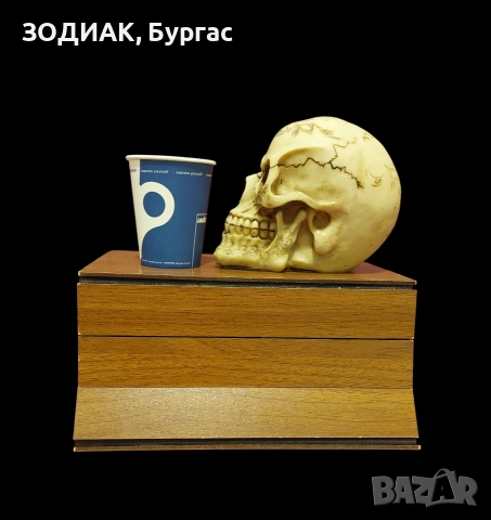 Фигура / Нощна Лампа ЧЕРЕП, снимка 6 - Декорация за дома - 31932989