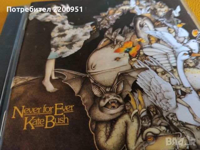 KATE BUSH, снимка 2 - CD дискове - 45404463