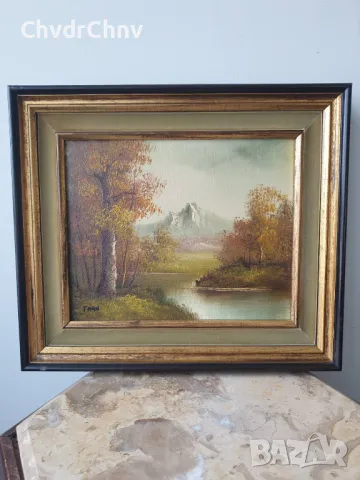 38x33см/2бр стари картини масло върху платно/пейзажи/картина в дървена рамка, снимка 2 - Картини - 49028098