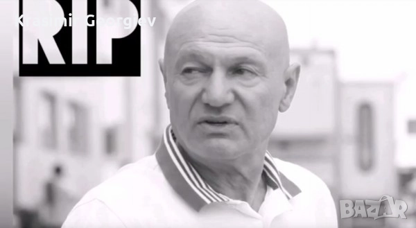 КРАЛЯ на Сръбската музика В памет на  Шабан Шаулич 15.72 Gb, снимка 8 - DVD дискове - 52830376