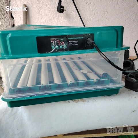 Люпилня за домашни любимци 