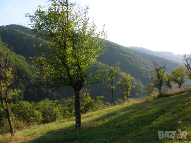 Продавам парцел в с.Рибариба, снимка 3 - Парцели - 52266031