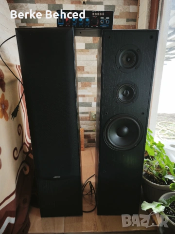 Колони и усилвател