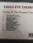 Eagle-Eye Cherry – Living In The Present Future - матричен диск музика, снимка 2