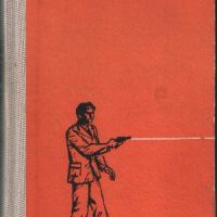 Железният вятър - Виктор Егоров, Лев Парфьонов, снимка 1 - Художествена литература - 45783250