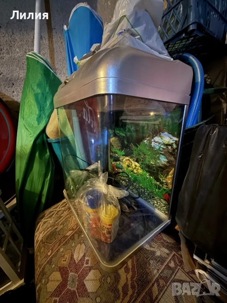 Аквариум с примадлежности, снимка 1