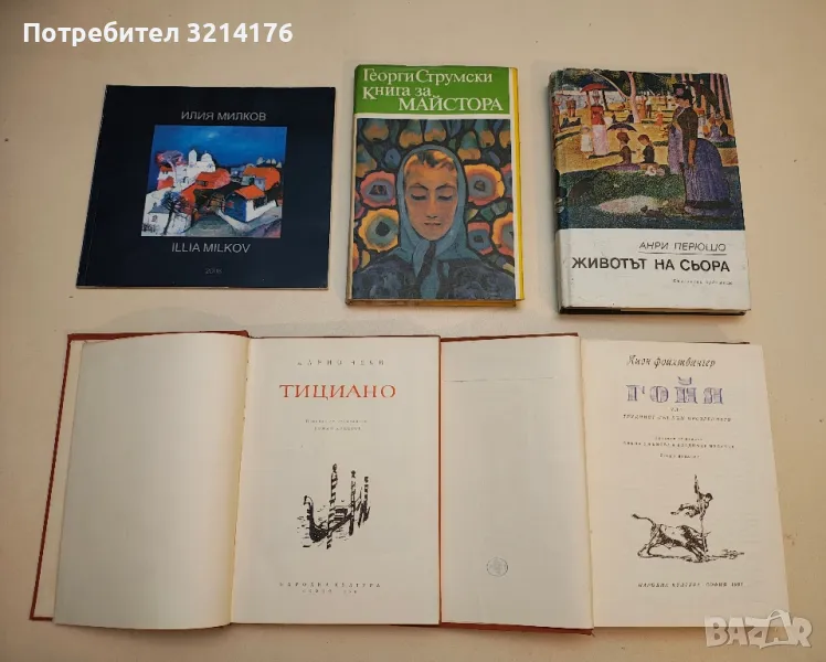 Книга за Майстора - Георги Струмски, снимка 1