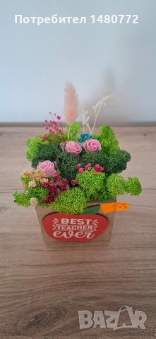 Дървени кашпи със скандинавски мъх за учител, снимка 3 - Декорация за дома - 51483212