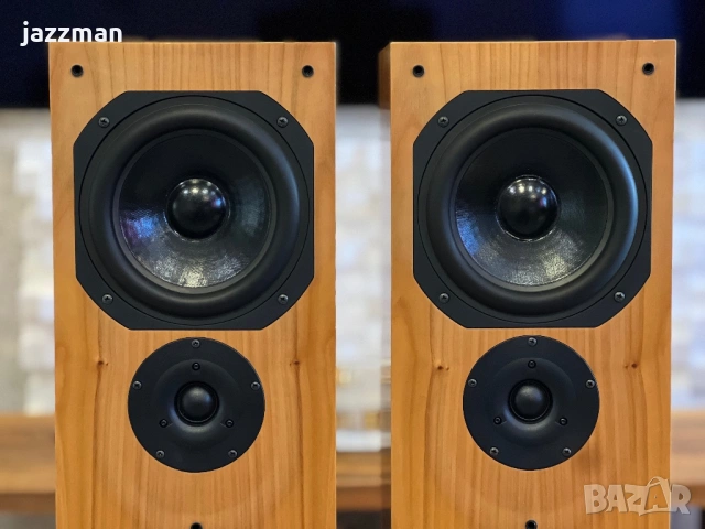 Chario Syntar 200 Tower – Италиански Hi-Fi подови тонколони, снимка 6 - Тонколони - 53797555