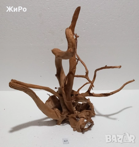 Корен от Азалия /декорация/ 67