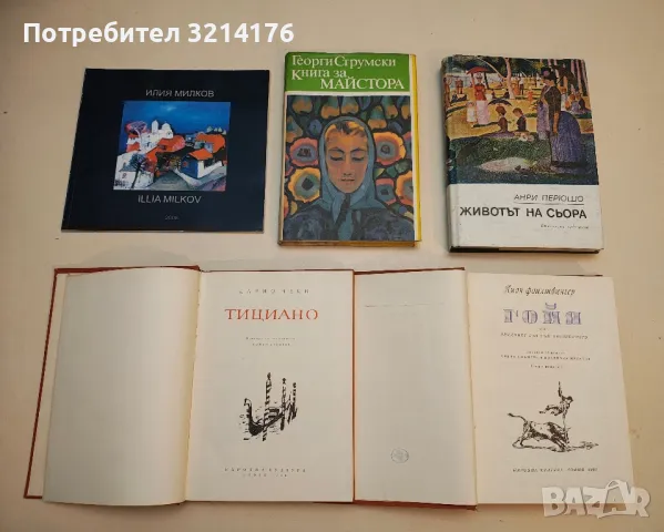 Книга за Майстора - Георги Струмски