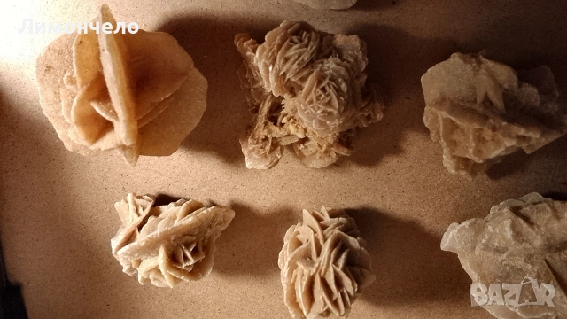 Пустинна роза - скъпоценни камъни, друзи , фосил, снимка 6 - Колекции - 53444634