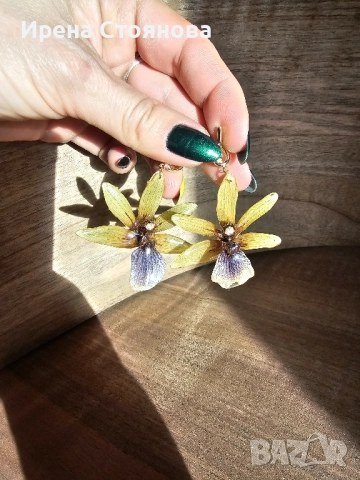 Обеци с естествен цвят на орхидея Камбриа, снимка 4 - Обеци - 52364889