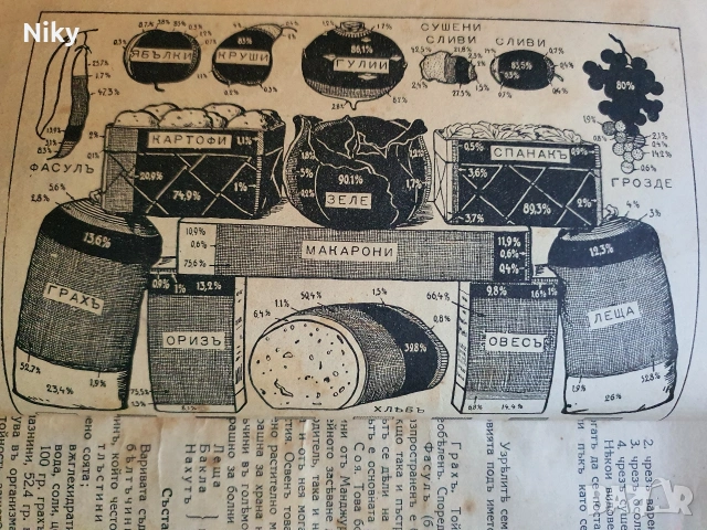 Стара готварска книга от началото на 20 век , снимка 7 - Антикварни и старинни предмети - 53099565