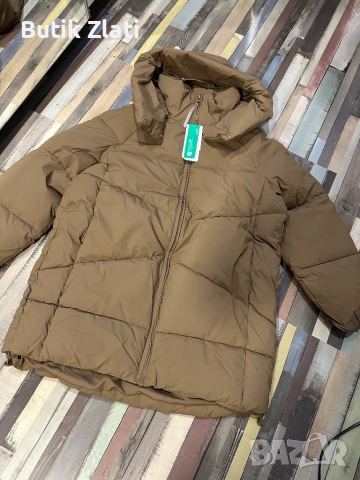 Нови дамски якета зимни