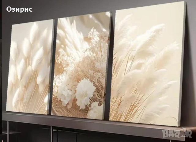 Три картини - КОМПЛЕКТ - СУПЕР изгодно !, снимка 2 - Картини - 53035362