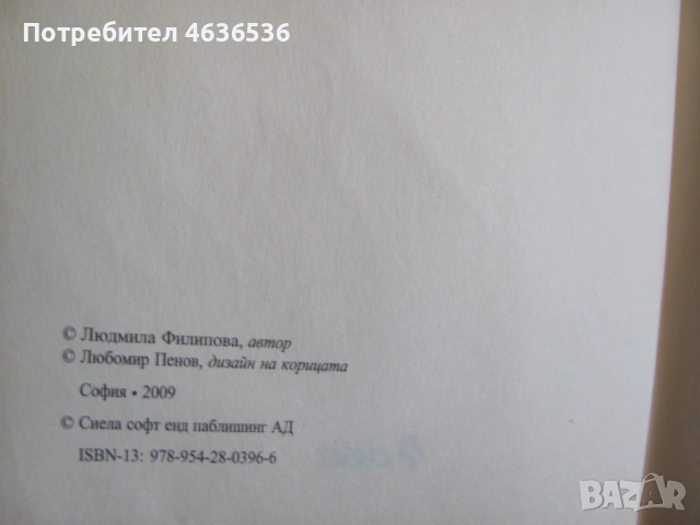 Книга-Мастиленият лабиринт, Людмила Филипова, снимка 2 - Художествена литература - 53443282