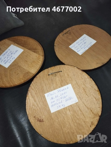 Глиги от диво прасе, снимка 2 - Антикварни и старинни предмети - 52792846