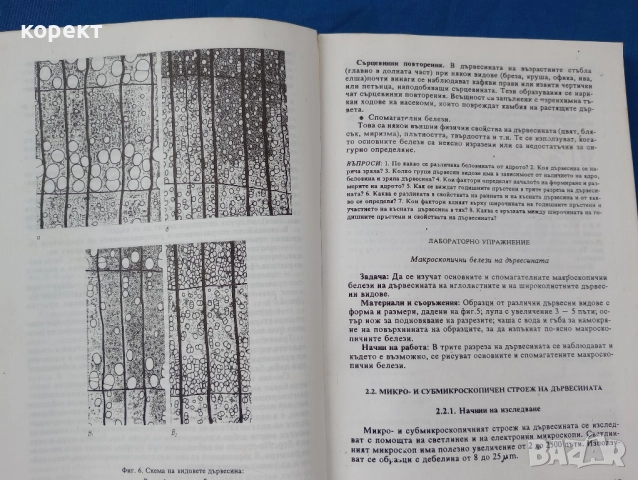 учебник, Дървообработване и материалознание , снимка 5 - Ученически пособия, канцеларски материали - 52464844