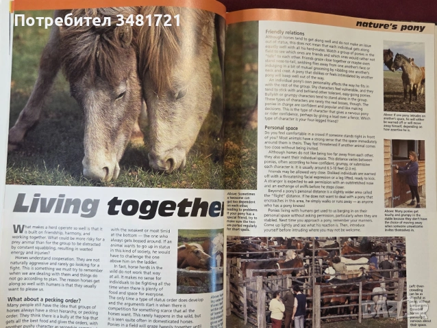 Илюстриран справочник - коне и понита / The Complete Guides to Horses and Ponies, снимка 7 - Енциклопедии, справочници - 53748600