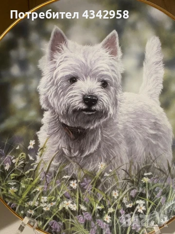 Колекционерска чиния от серия « Westies “, снимка 2 - Антикварни и старинни предмети - 50787307