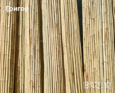 Здрави и надеждни колчета за добари! Топ цена!, снимка 2 - Други - 53680016