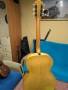 Арчтоп китара Hofner Senator guitar - 1960 - natural maple finish, снимка 5