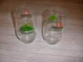 Чаши за бира, вода - Каменица, снимка 5