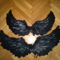 Черни крила,големи и малки, снимка 1 - Други - 44587209