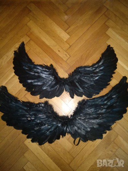 Черни крила,големи и малки, снимка 1