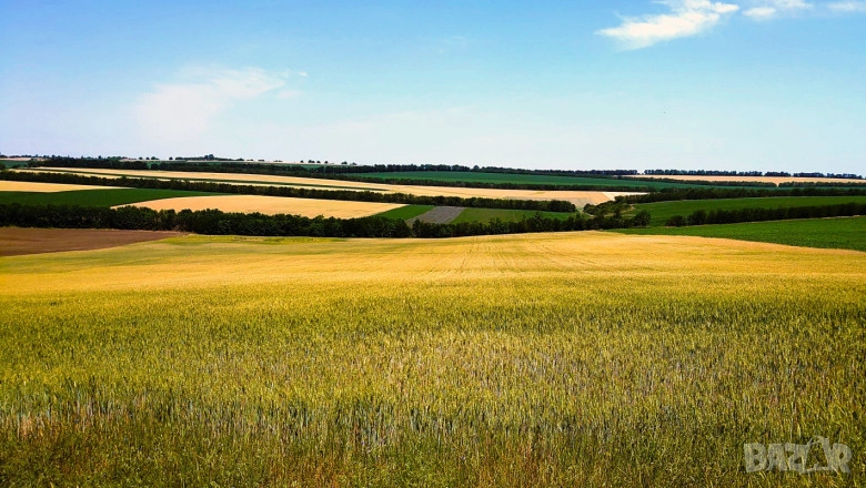 Купувам земеделски земи в Силистра, снимка 1